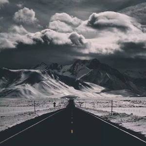 国精产品无码ThePorn
