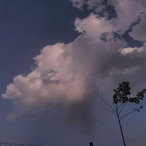 国精产品无码ThePorn
